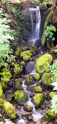 falls