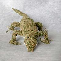Ali the alligator