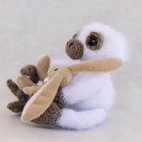 Baby Two Toed Sloth
