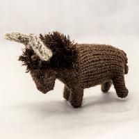 Buffalo
