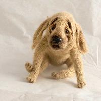 Bloodhound