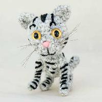 Kitten