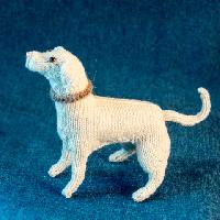 Yellow Lab
