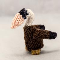 Pelican