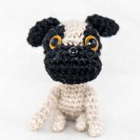 Pug
