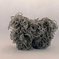 Puli