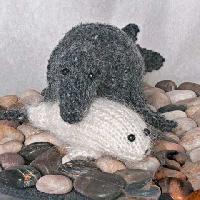 Gray Seal