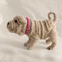 Sharpei