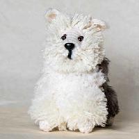 Sheep dog