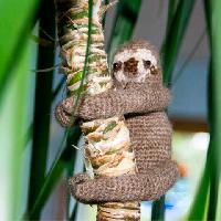 Sloth