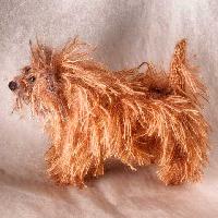 Terrier