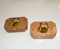 Hooter owl